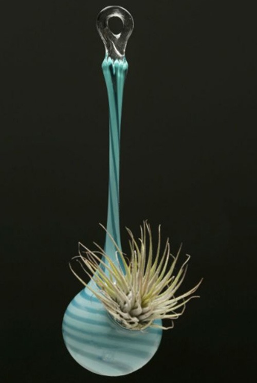 glass plant vase by jason probstein